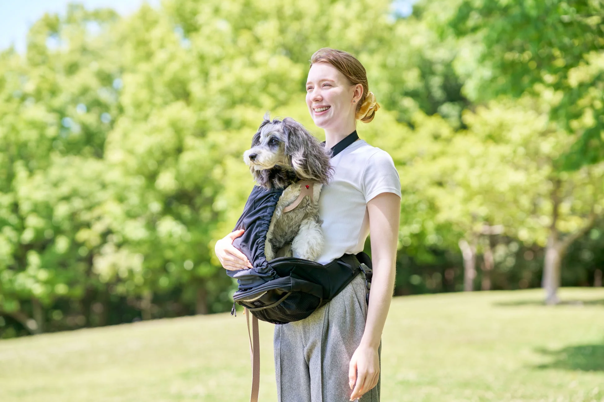 女性が犬をヒップシートで抱っこしている様子