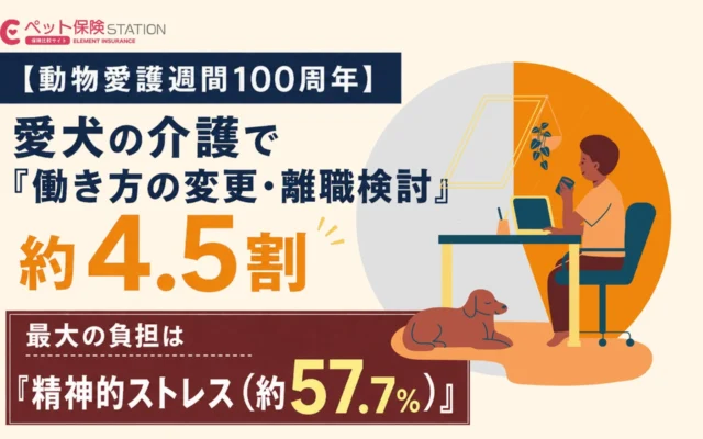 愛犬の介護、最大の負担は「精神的ストレス」約57.7% – 働き方にも影響、約4.5割が変更を経験・検討