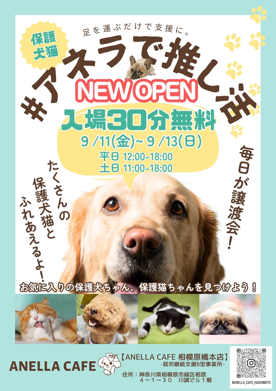 ANELLA CAFE 相模原橋本店オープン記念キャンペーンポスター