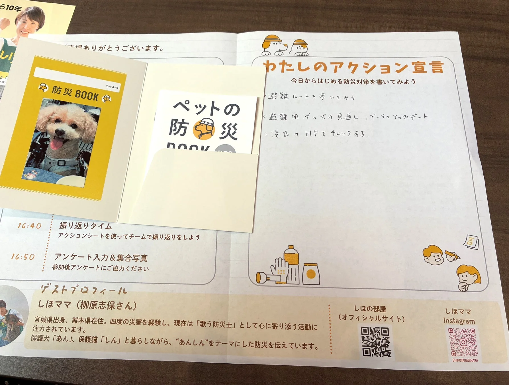 行動宣言とゲストプロフィール