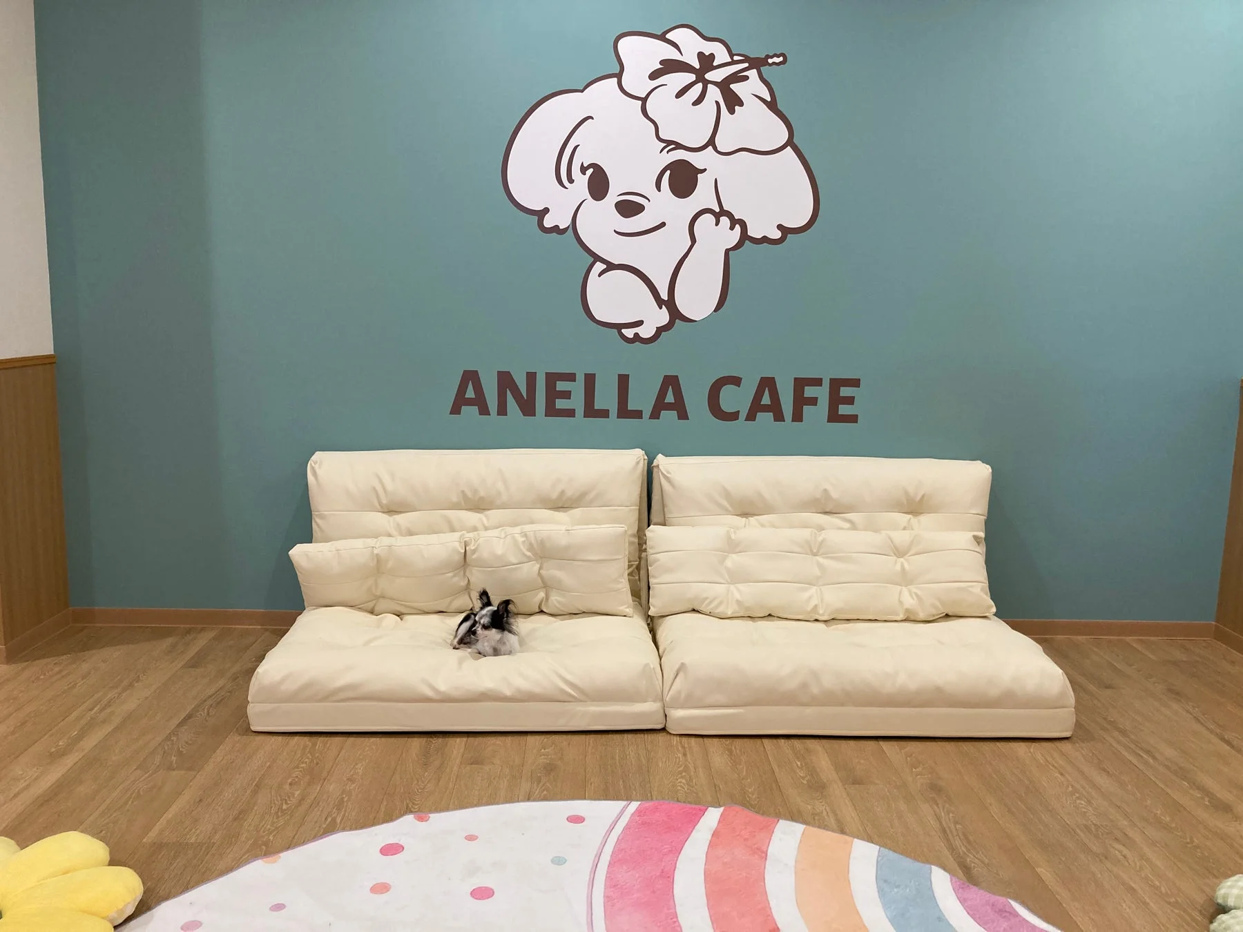 ソファでくつろぐ犬