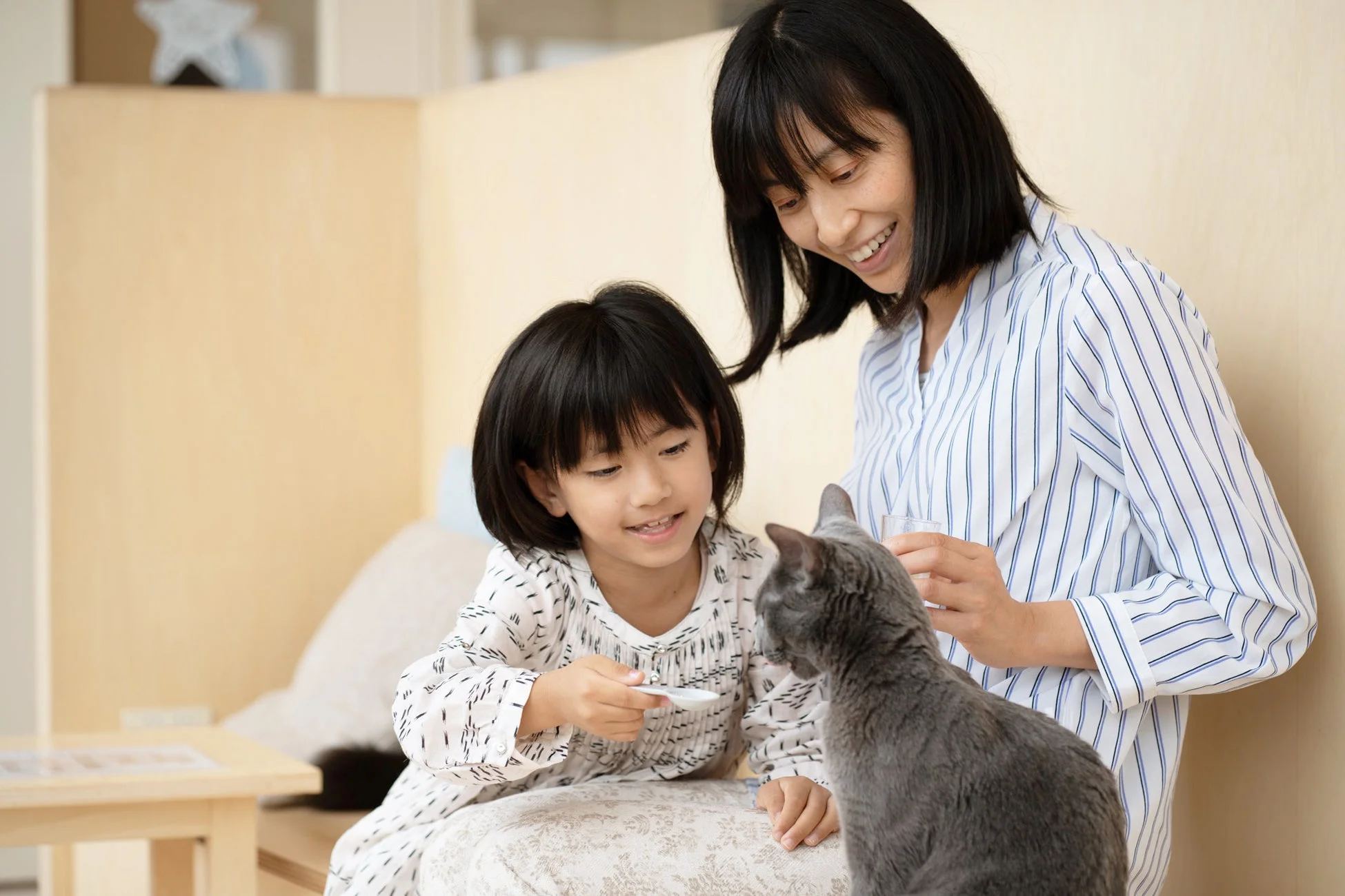 親子が猫と触れ合う様子