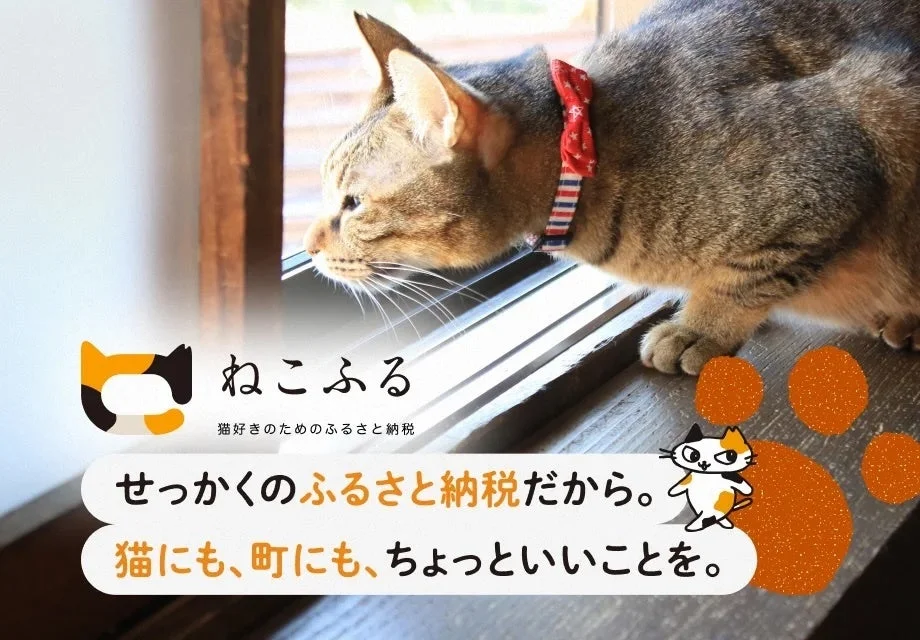 猫好きのためのふるさと納税サイト「ねこふる」のオープンを告知する画像