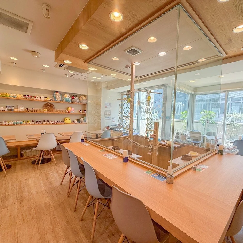 ことりすまいるカフェ店内