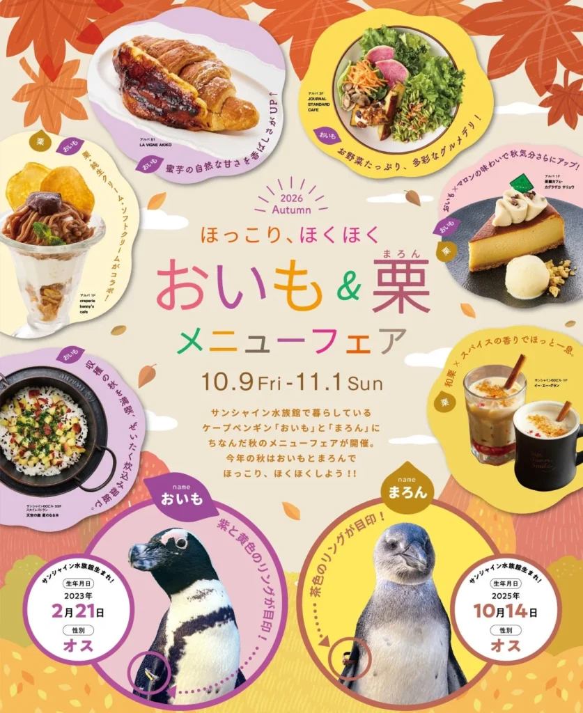 サンシャイン水族館のペンギン「おいも」と「まろん」にちなんだ秋の味覚メニューフェア「ほっこり、ほくほく おいも&栗 メニューフェア」開催!