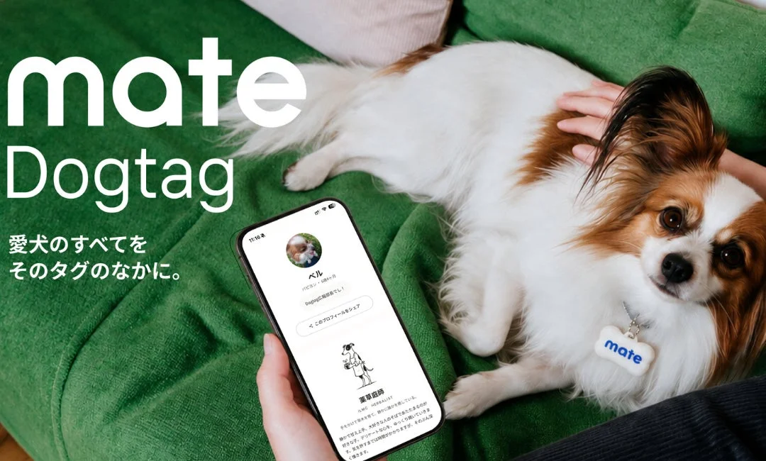 緑のソファでくつろぐパピヨン犬と、その隣でスマートフォンを操作する手が写っています。スマホ画面には犬のプロフィールが表示されており、犬の首には「mate」と書かれたドッグタグがつけられています。「mate Dogtag 愛犬のすべてをそのタグのなかに。」というキャッチコピーから、ペットの情報を管理する新しいドッグタグサービスを宣伝している様子が伺えます。