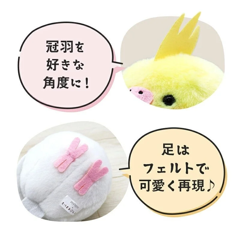 冠羽と足