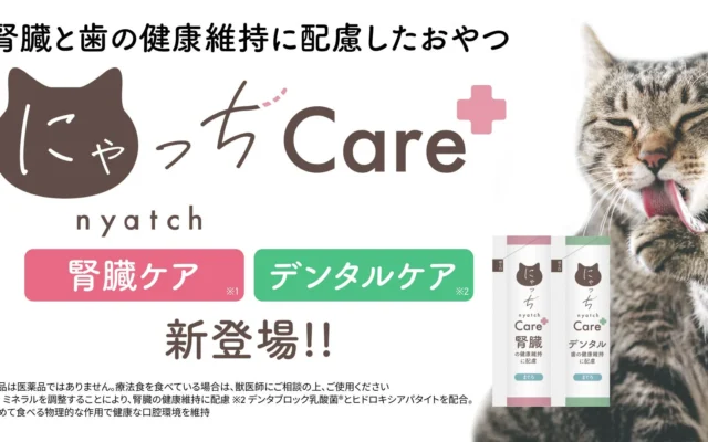 愛猫の健康をサポート!国産無添加おやつ「にゃっちCare+」腎臓ケア・デンタルケアの2種が新登場