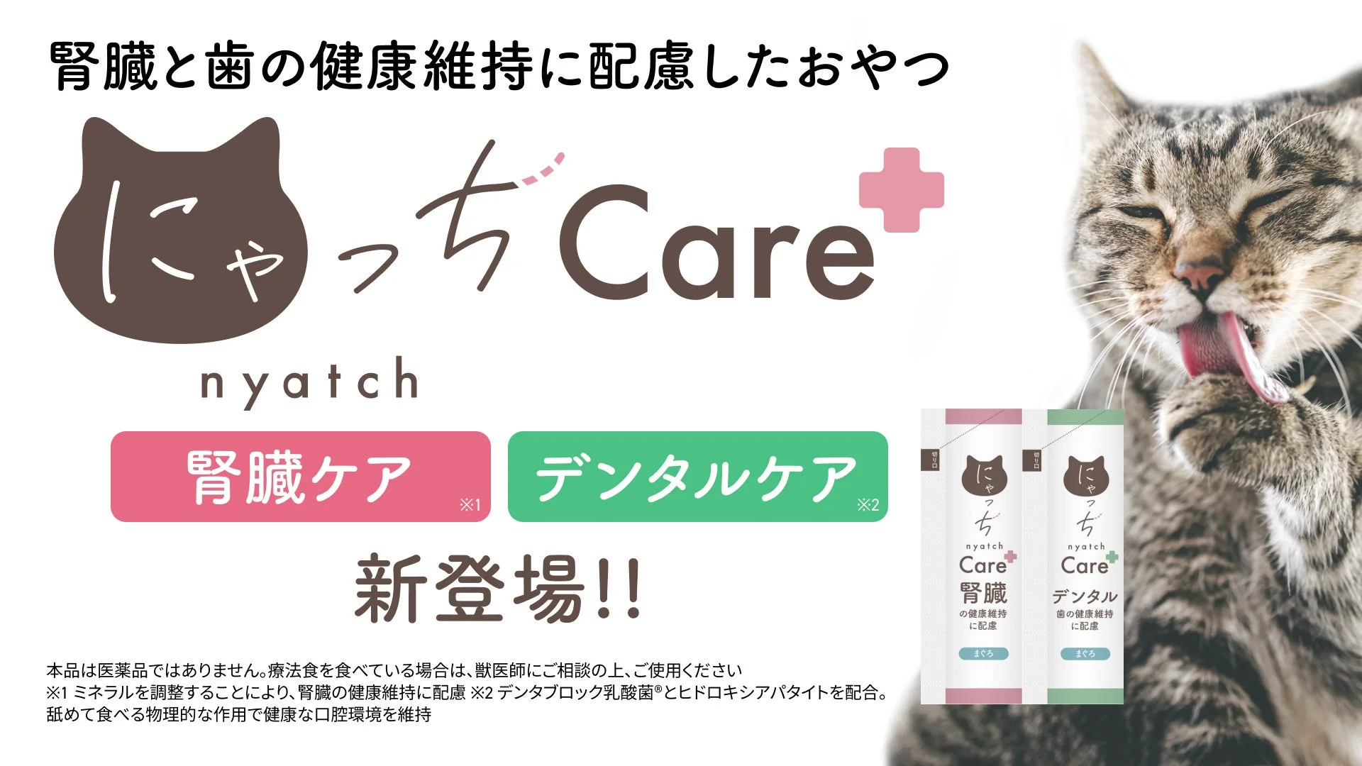 猫の腎臓と歯の健康維持に配慮したおやつ「にゃっちCare+」の製品画像