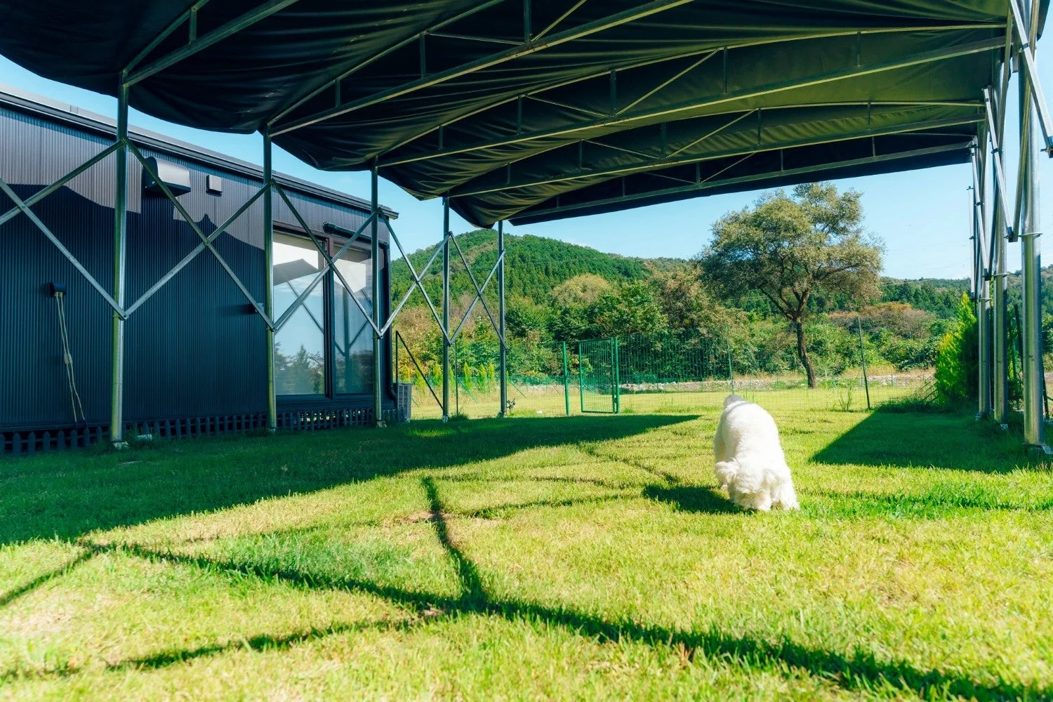 広々とした芝生のドッグランで、白い犬が地面の匂いを嗅いでいる様子が捉えられています。左手にはモダンな建物と大きなシェードがあり、背景には緑豊かな山々が広がる、晴れた日の開放的な風景です。
