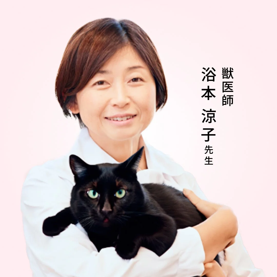 白衣を着た獣医師 浴本涼子先生と黒猫のポートレート