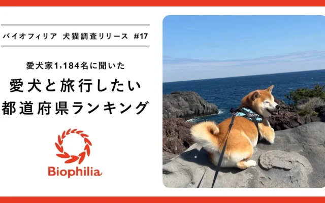 シルバーウィーク直前!愛犬と旅行したい都道府県ランキング発表