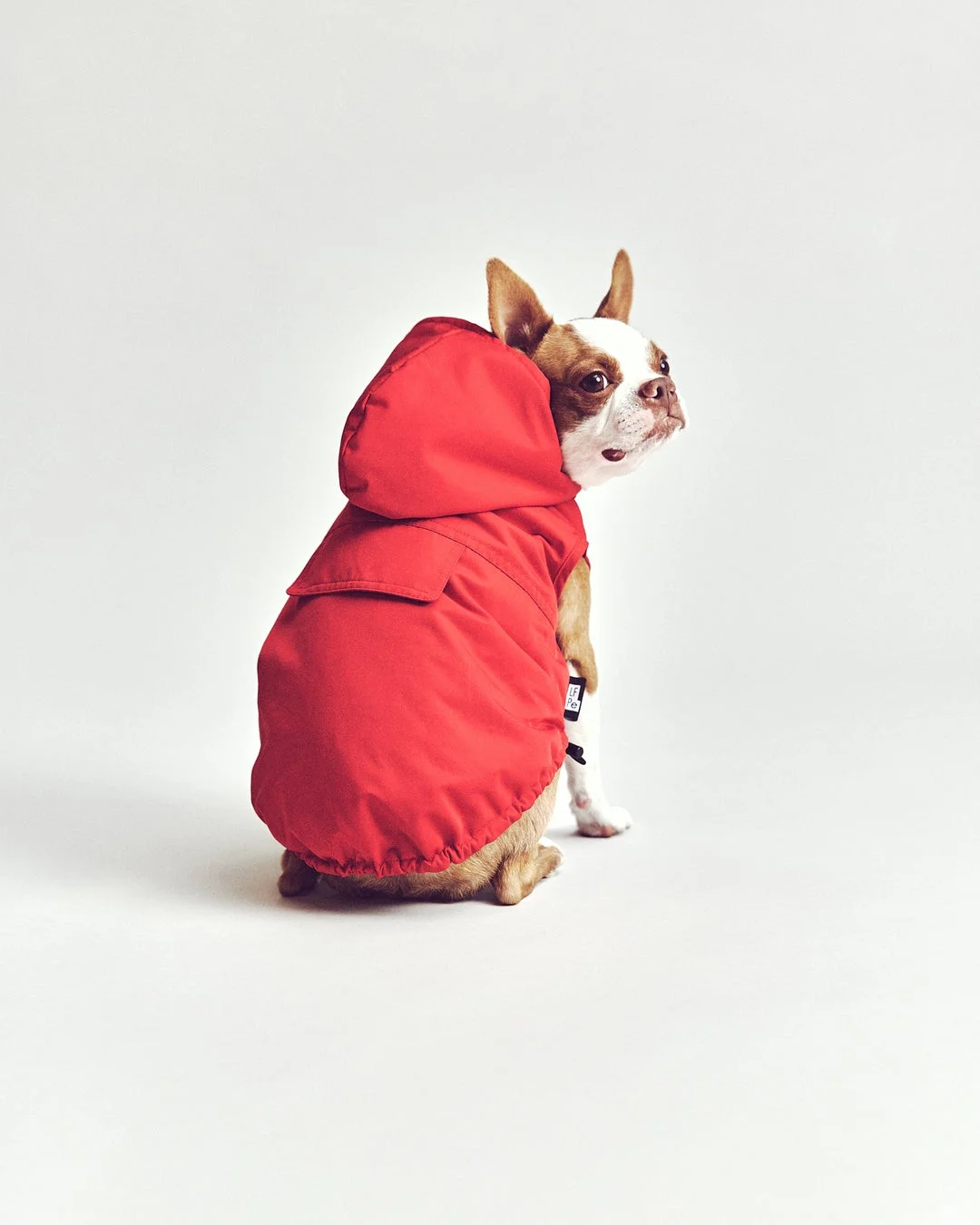【PET】マウンテンパーカー