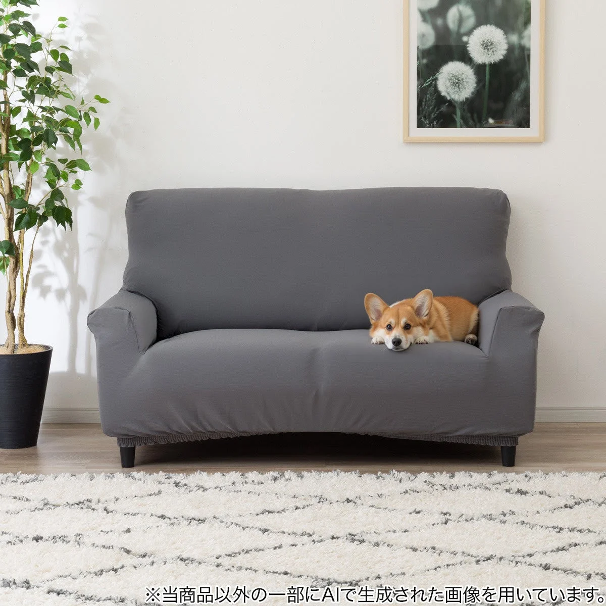 ソファでくつろぐコーギー