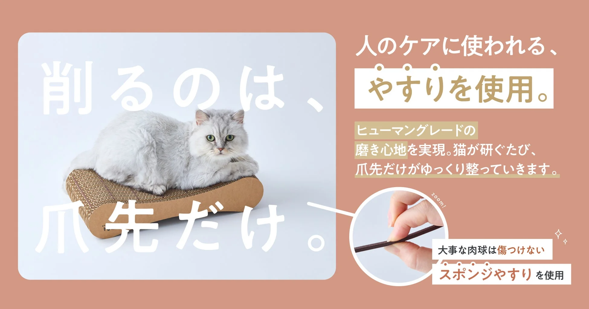 猫が爪とぎの上でくつろぐ様子