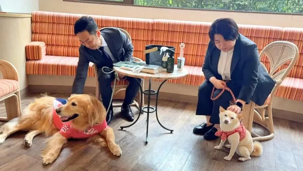 犬と飼い主がカフェで過ごす様子