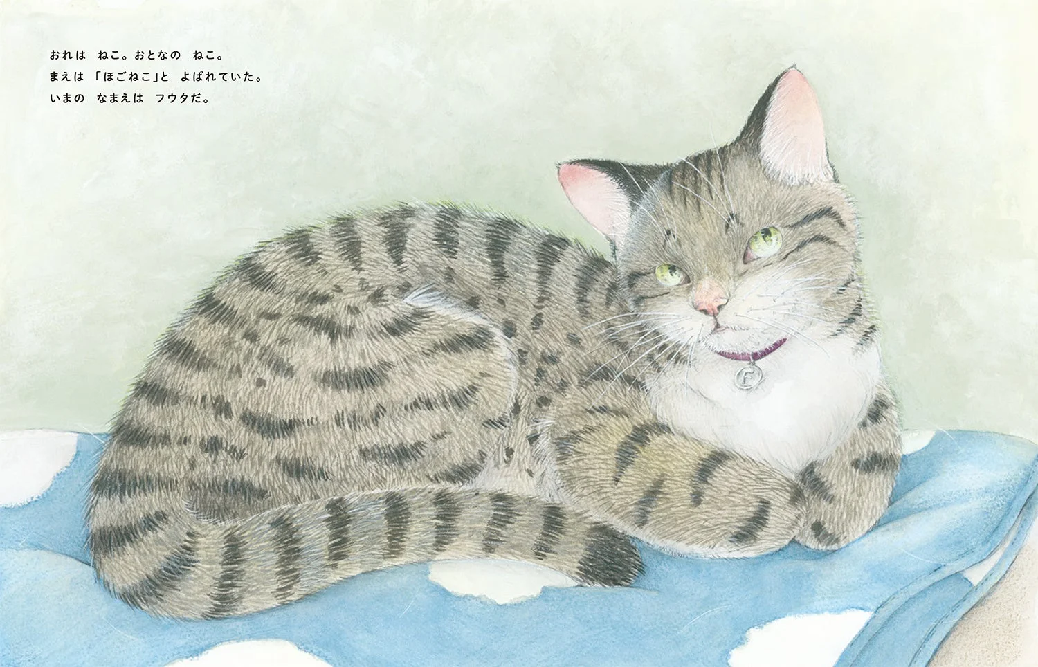 フウタのイラスト