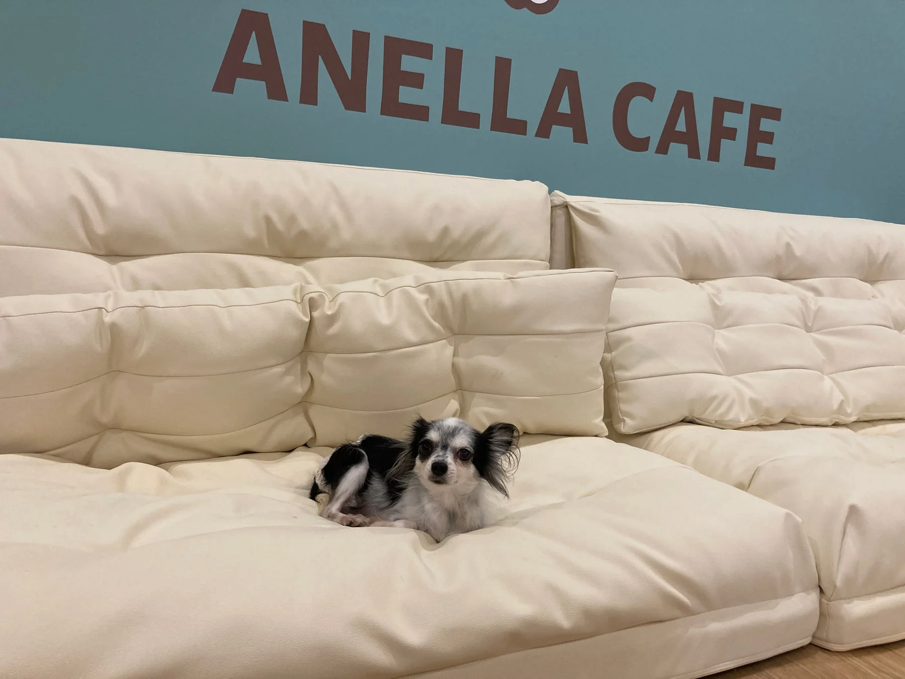 ANELLA CAFEのロゴと犬