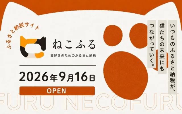 猫好きのためのふるさと納税プラットフォーム「ねこふる」が2026年9月16日オープン！保護猫活動にもつながる新しい選択肢