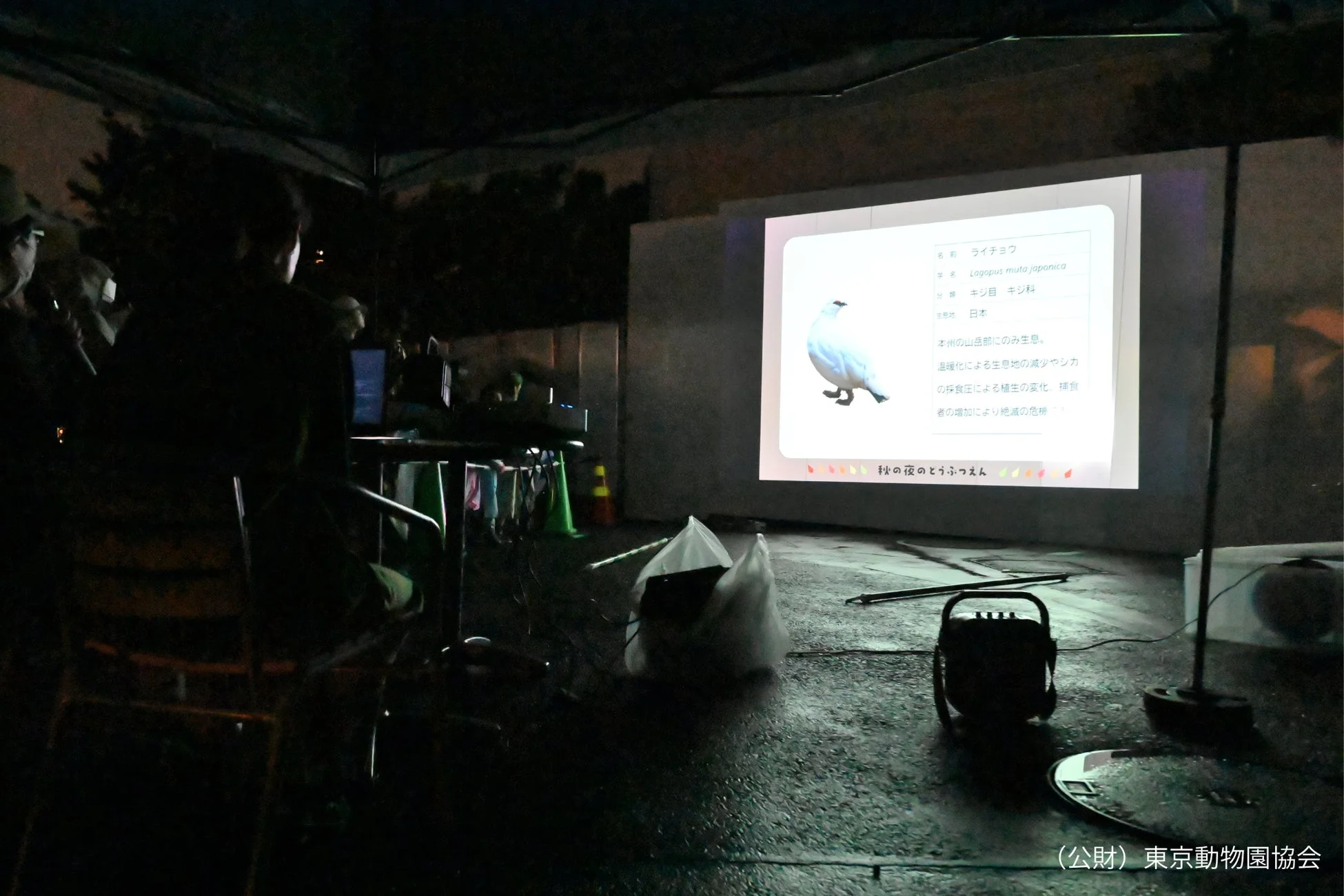 夜間イベントの様子