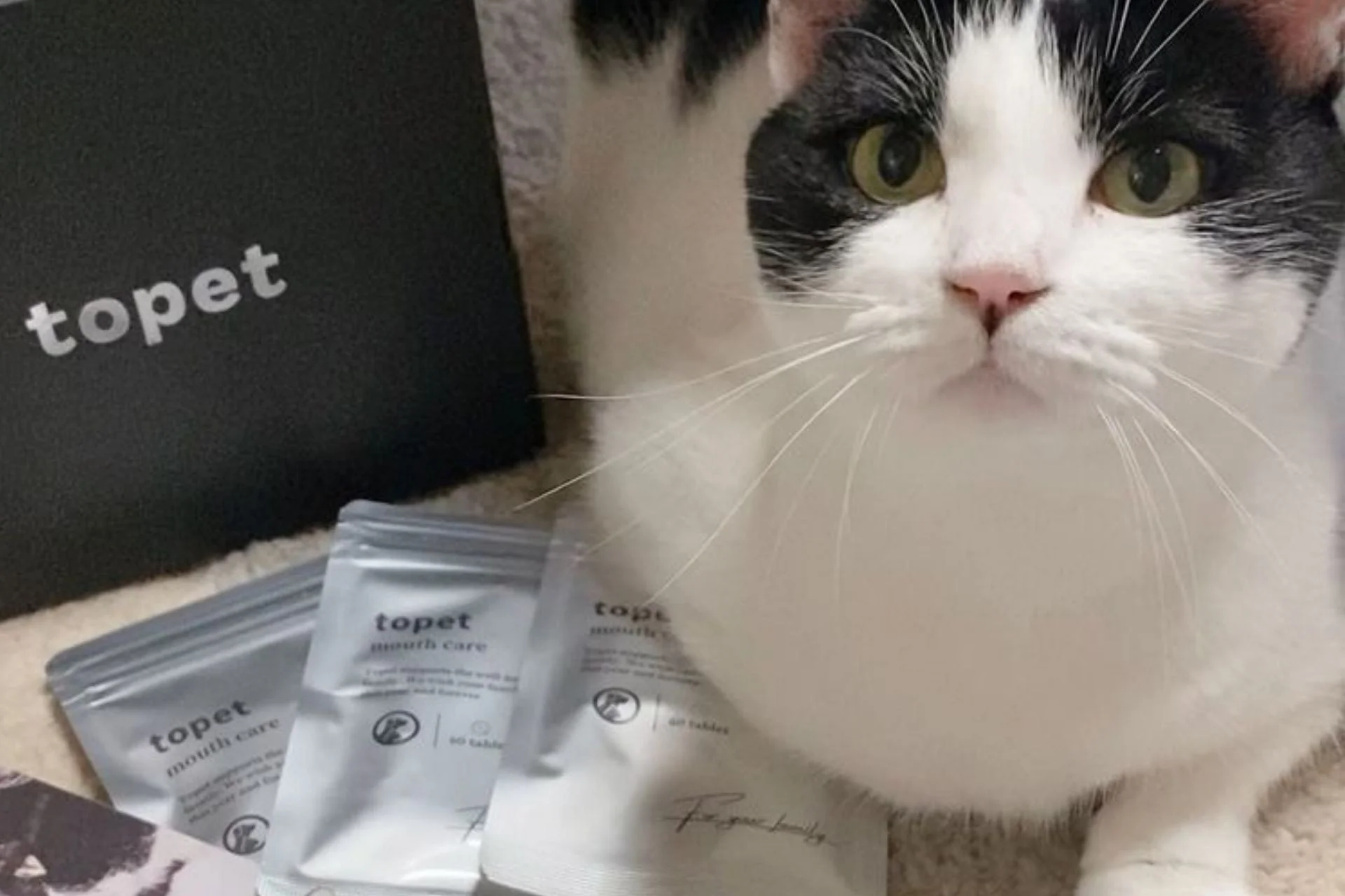 白黒の猫とtopet mouth careのパッケージ
