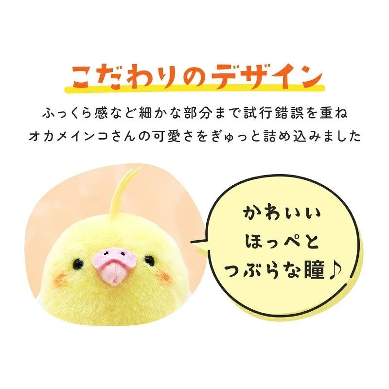 こだわりのデザイン