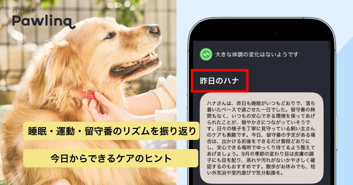 1日を振り返る「昨日の〇〇（愛犬の名前）」