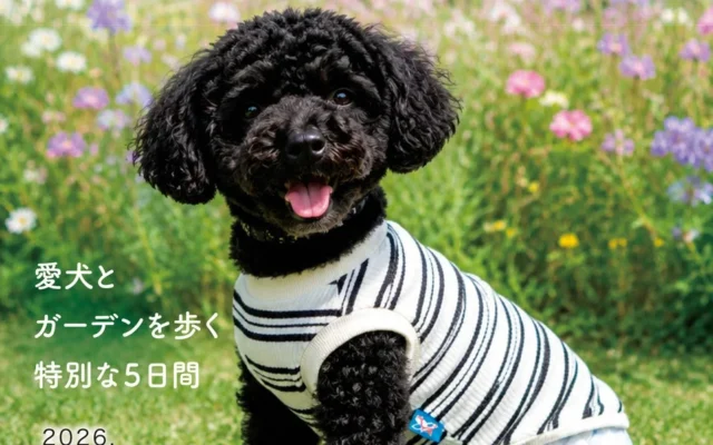 愛犬と一緒に秋の庭園を満喫!中之条ガーデンズ「わんわんウィーク」初開催、マルシェも同時開催