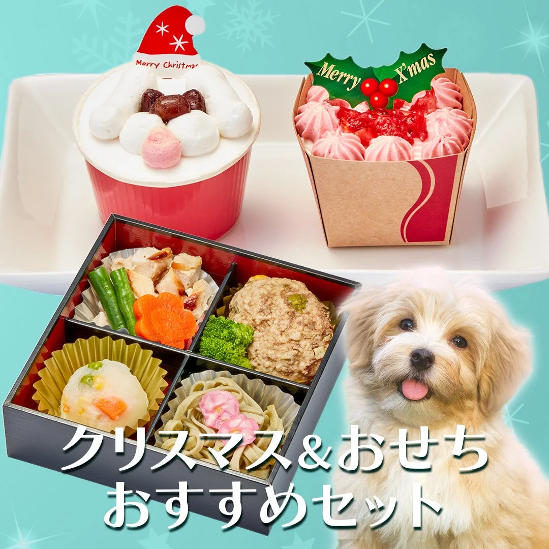 オンラインショップ限定セット