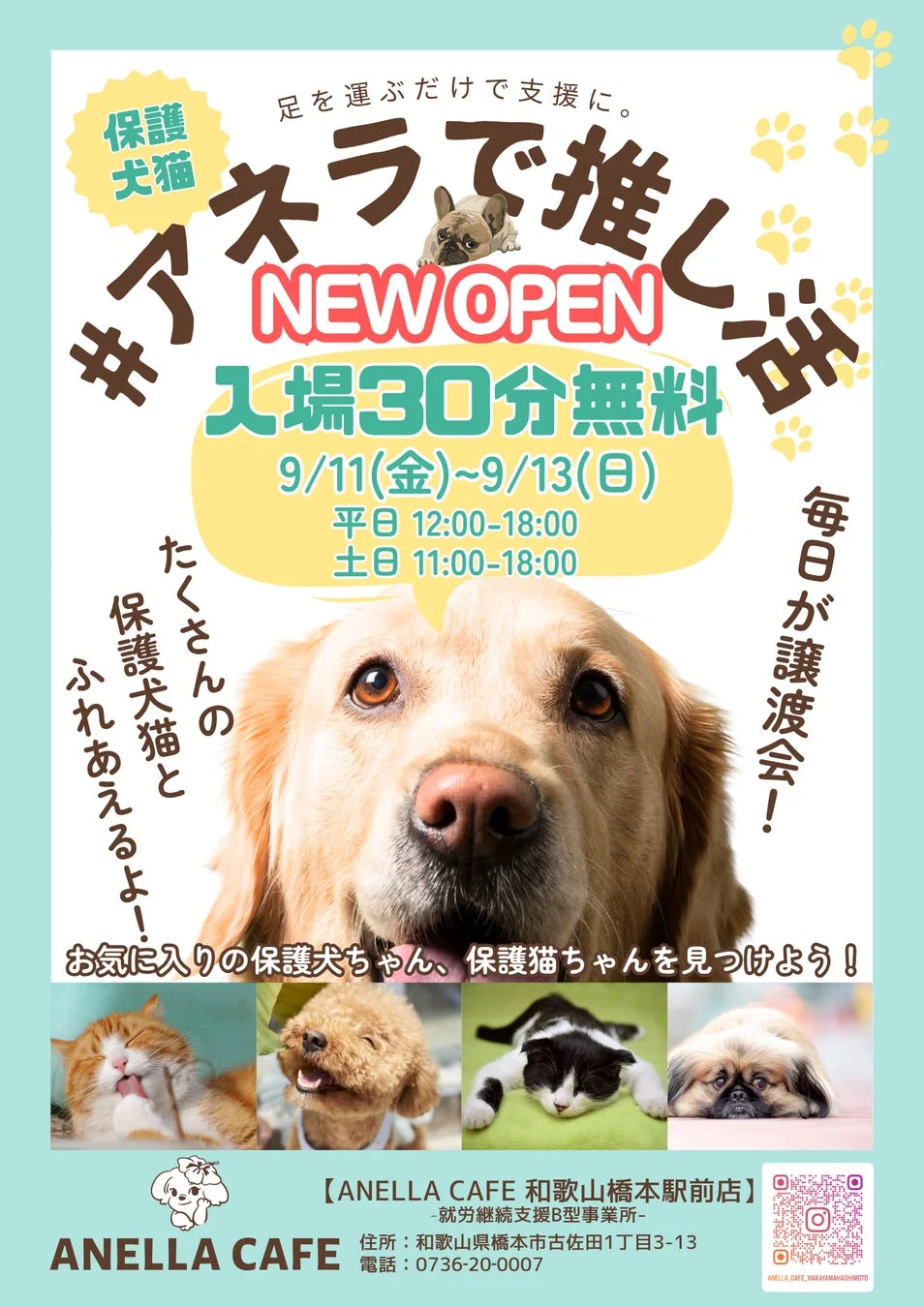 オープンキャンペーン告知ポスター