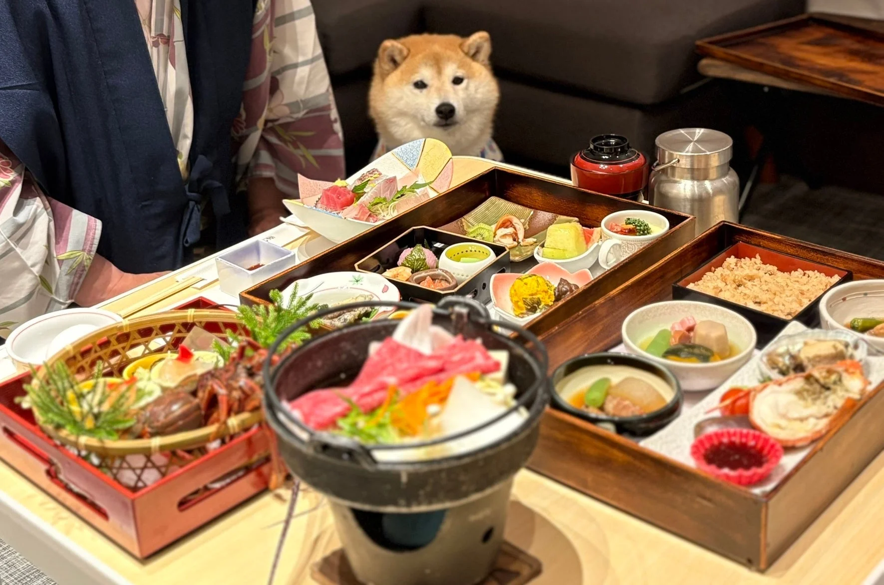 豪華な和食が並べられたテーブルを、可愛らしい柴犬がじっと見つめている写真です。