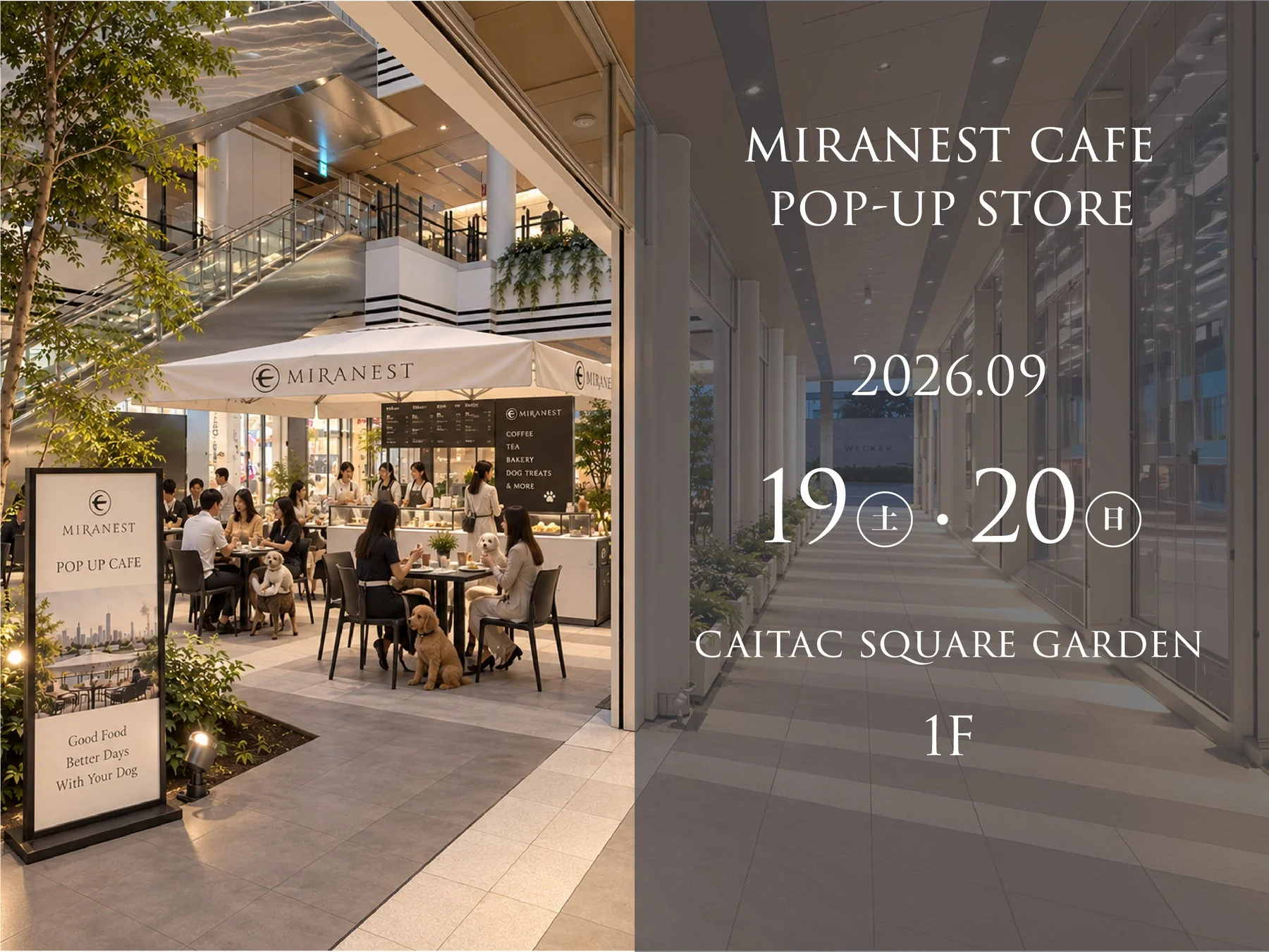 MIRANEST CAFE ポップアップストアの告知。2026年9月19日(土)・20日(日)にCAITAC SQUARE GARDEN 1Fで開催。犬同伴可能なカフェで、コーヒー、紅茶、ベーカリー、ドッグトリーツを提供しています。