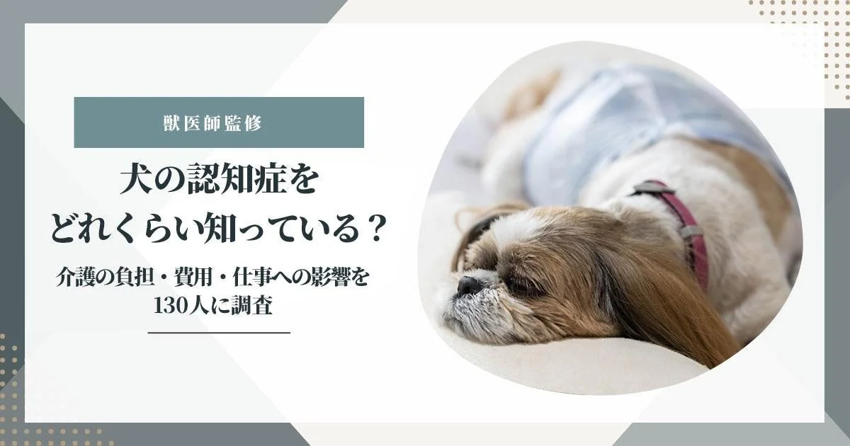 犬の認知症調査