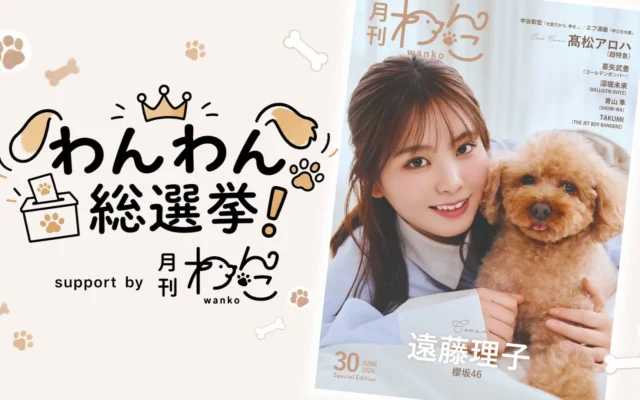 愛犬が日本一に!?「わんわん総選挙!」開催決定、あなたの愛犬が雑誌『月刊わんこ』に登場するチャンス!