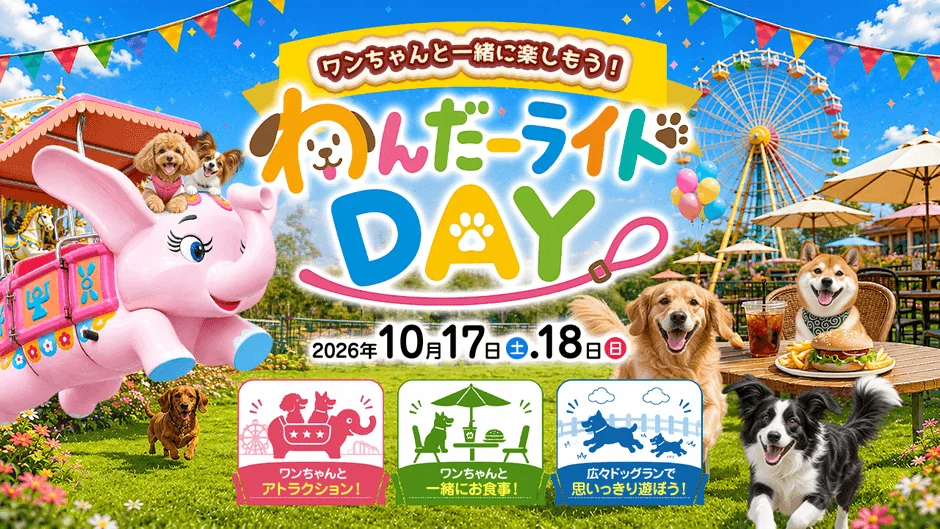わんだーライド DAY