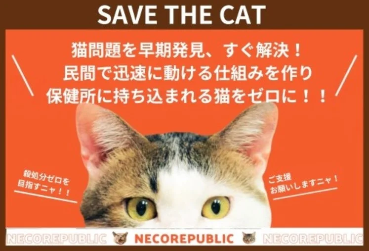 SAVE THE CAT