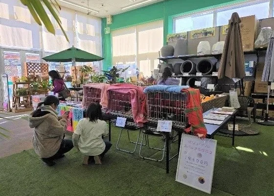 綿半と松本市が動物愛護の推進に関する連携協定を締結!地域社会とペットの未来を共に育む