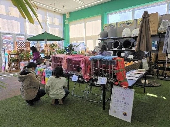 綿半と松本市が動物愛護の推進に関する連携協定を締結!地域社会とペットの未来を共に育む