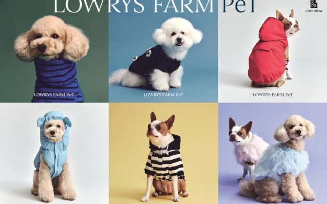 ファッションブランドLOWRYS FARMとPETEMOの協業ライン「LOWRYS FARM PeT」から限定コレクションが登場!