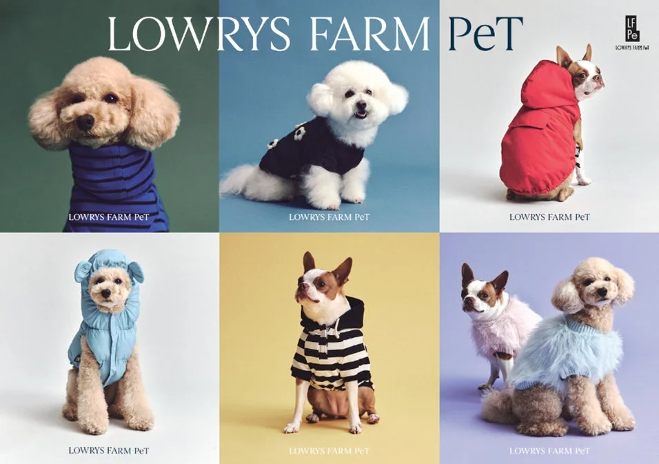 ファッションブランドLOWRYS FARMとPETEMOの協業ライン「LOWRYS FARM PeT」から限定コレクションが登場！
