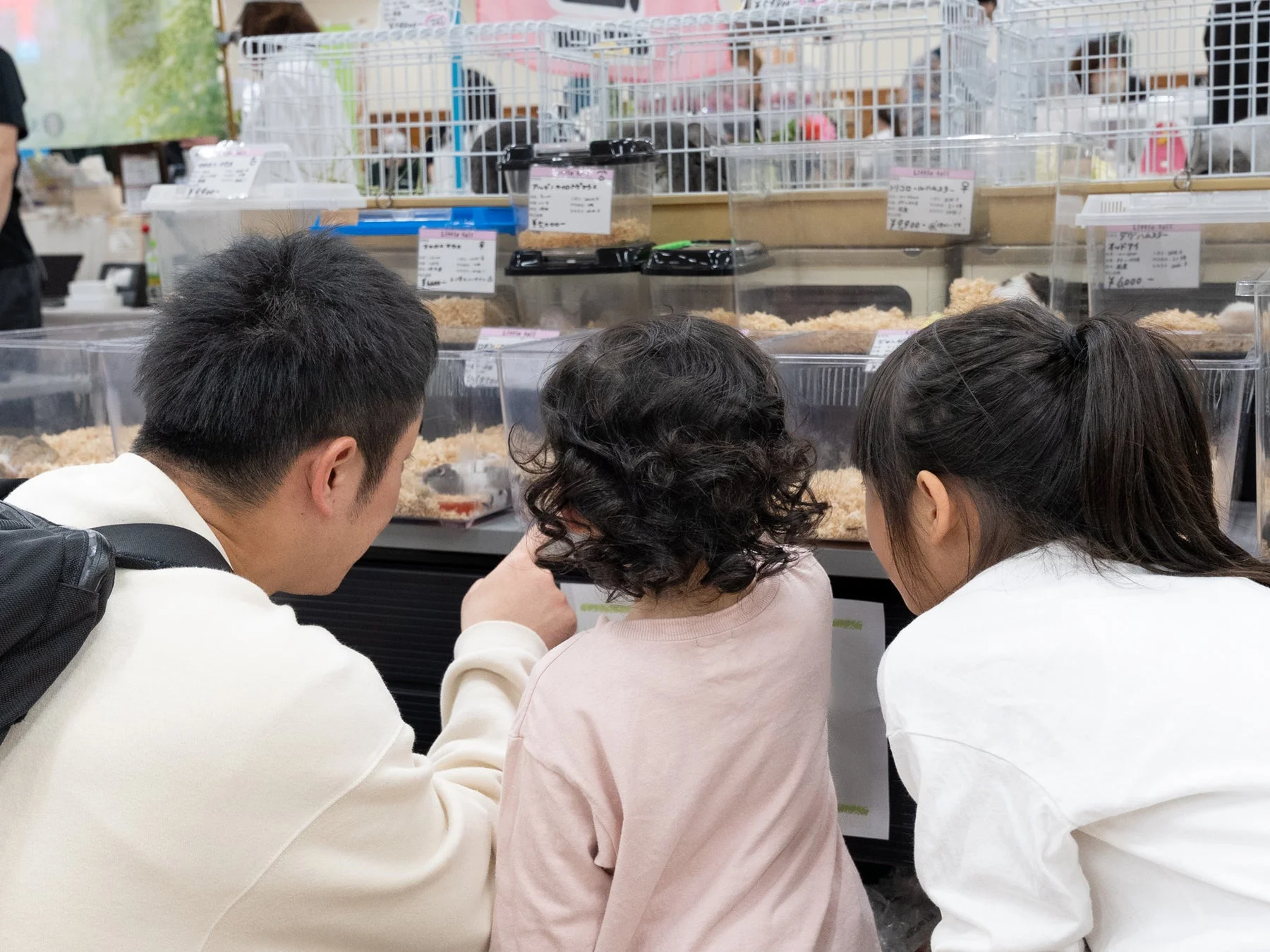 ハムスターを見学する来場者