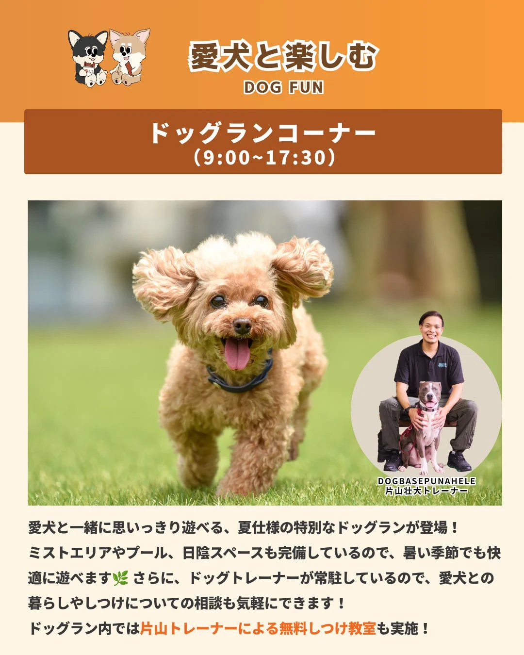 愛犬と一緒に楽しめる夏仕様のドッグランの告知。ミストエリアやプール、日陰スペース完備で快適。常駐トレーナーによる無料しつけ教室や相談も可能。9:00〜17:30開催。