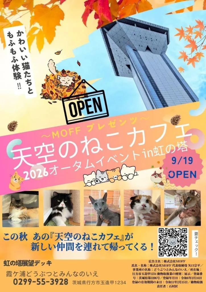 霞ケ浦の絶景と猫たちに癒される「天空のねこカフェ」が再開!新しい仲間も加わり9月19日オープン