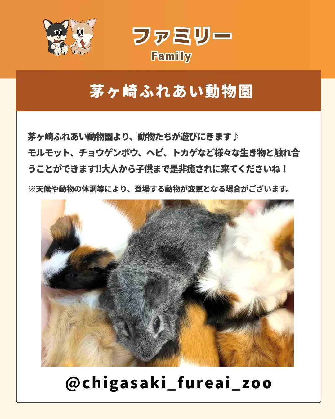 茅ヶ崎ふれあい動物園のイベント告知