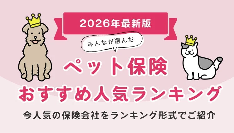 2026年9月最新版!ペット保険人気ランキング発表 – 実際の申込数で見る人気の保険は?