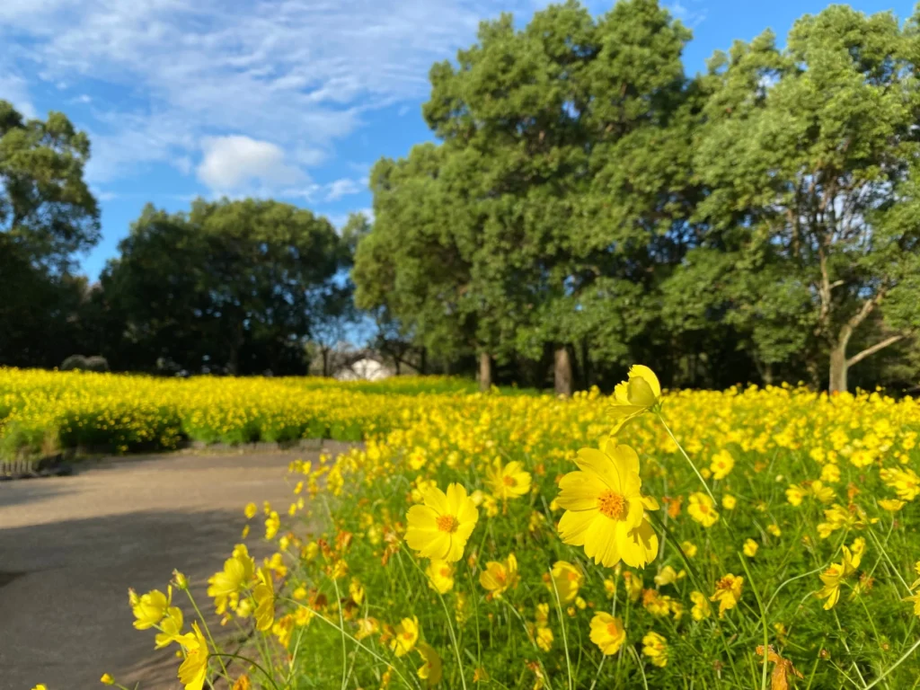 国営木曽三川公園で「秋の花物語」開催！愛犬と楽しめる「木曽三川わんこマルシェ」も