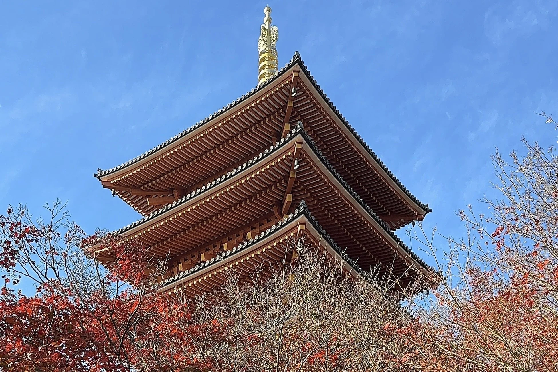 鮮やかな紅葉と枯れ木に囲まれた日本の伝統的な五重塔が、澄み切った青空の下でそびえ立っています。秋の趣を感じさせる美しい風景です。