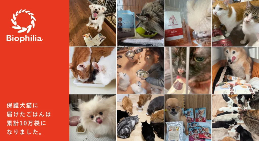 保護犬・保護猫へ届けた「ココグルメ」「ミャオグルメ」が累計10万袋を突破！飼い主さんの温かい思いが支援の輪に