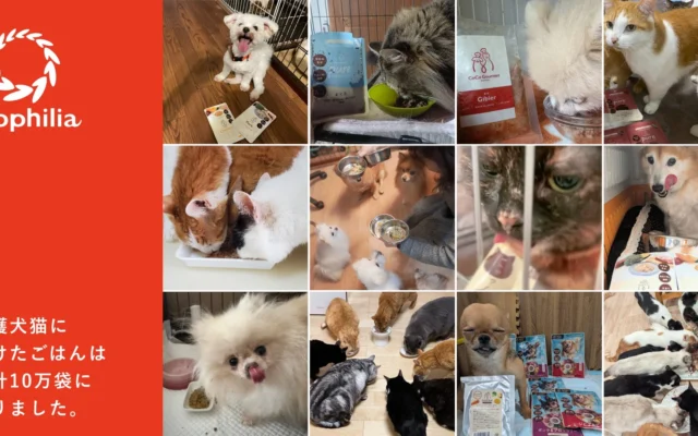 保護犬・保護猫へ届けた「ココグルメ」「ミャオグルメ」が累計10万袋を突破!飼い主さんの温かい思いが支援の輪に