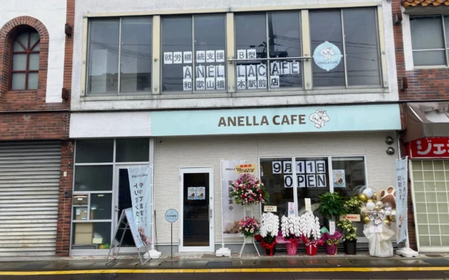 【和歌山初上陸】保護犬猫カフェ「ANELLA CAFE 和歌山橋本駅前店」がオープン!人と動物が支え合う新たな場所